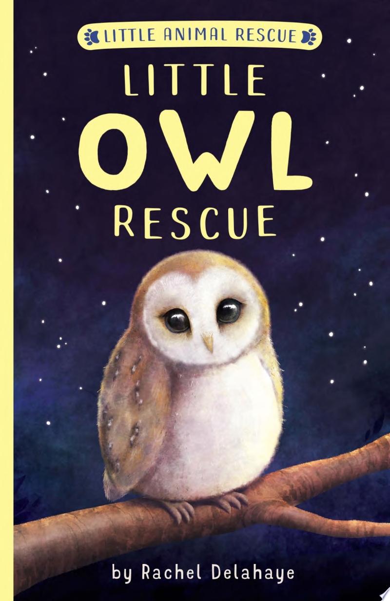 Image for "Little Owl Rescue"