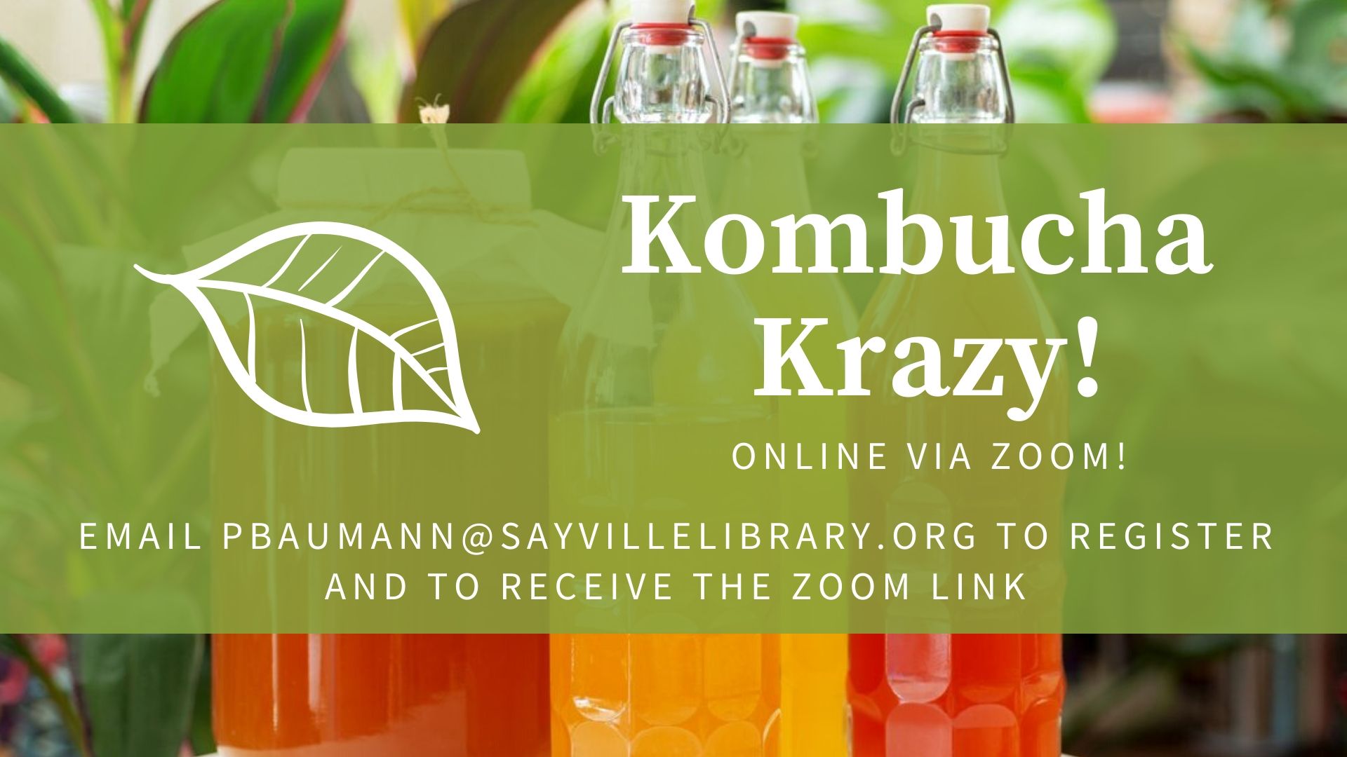 Kombucha Krazy promotional image