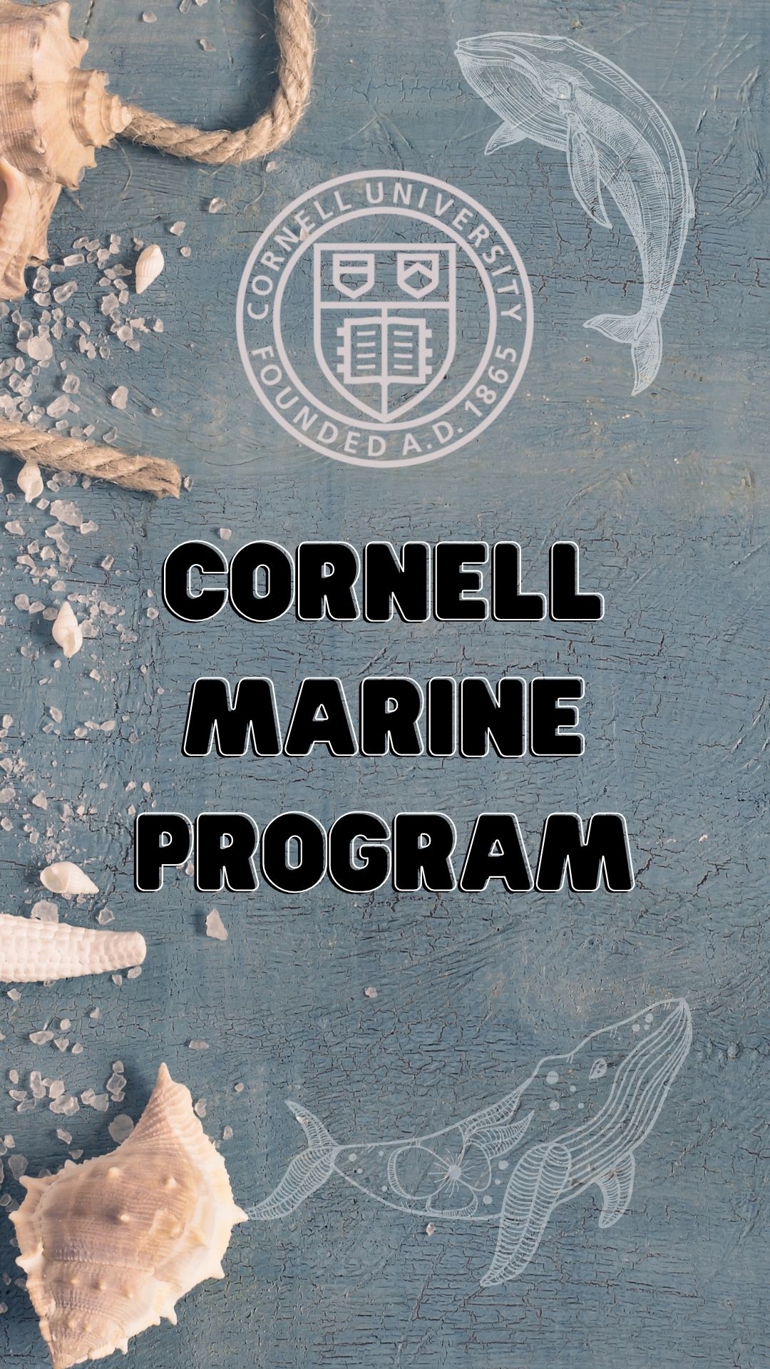 Title of the program is Sensational Sharks facilitated by Cornell Marine Programs with an image of shells, fish and the Cornell University of Logo