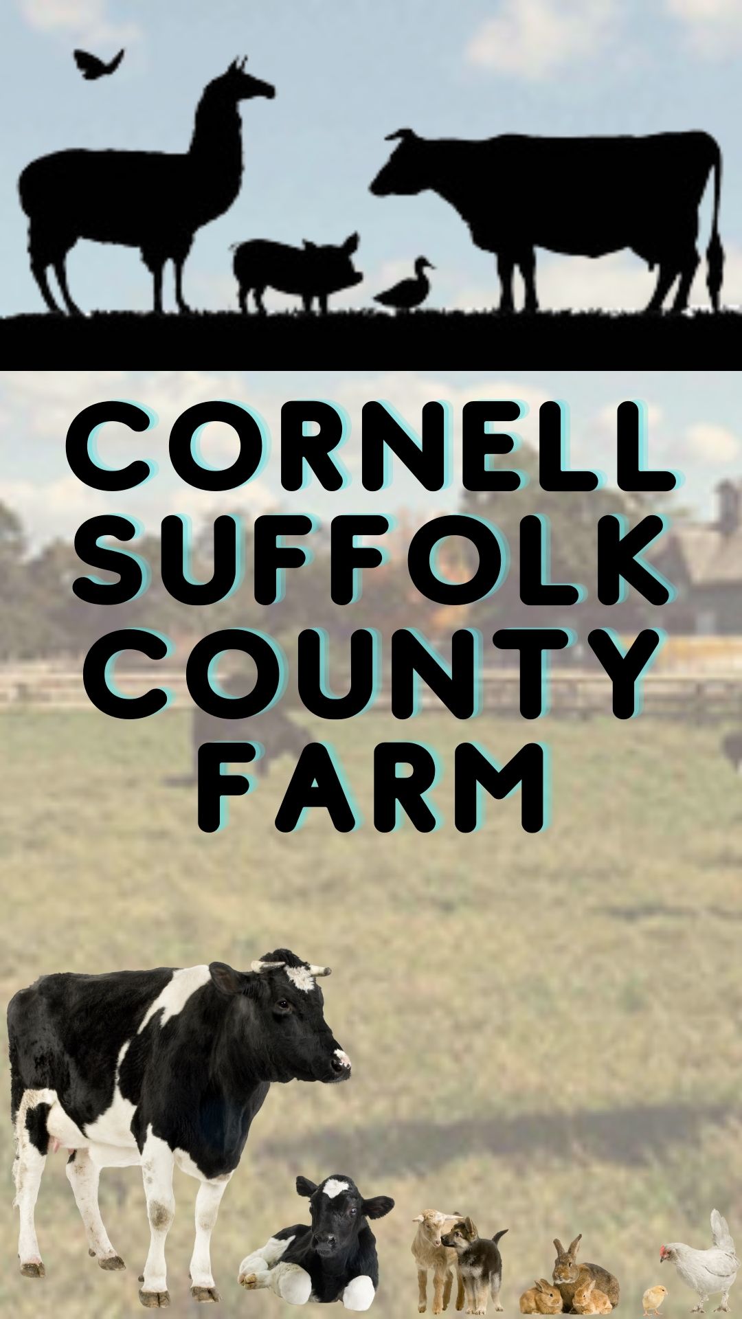 Title of program is Birds of a Feather, it is sponsored by Cornell Cooperative Extension Suffolk County Farm, with images of cows and other farm animals