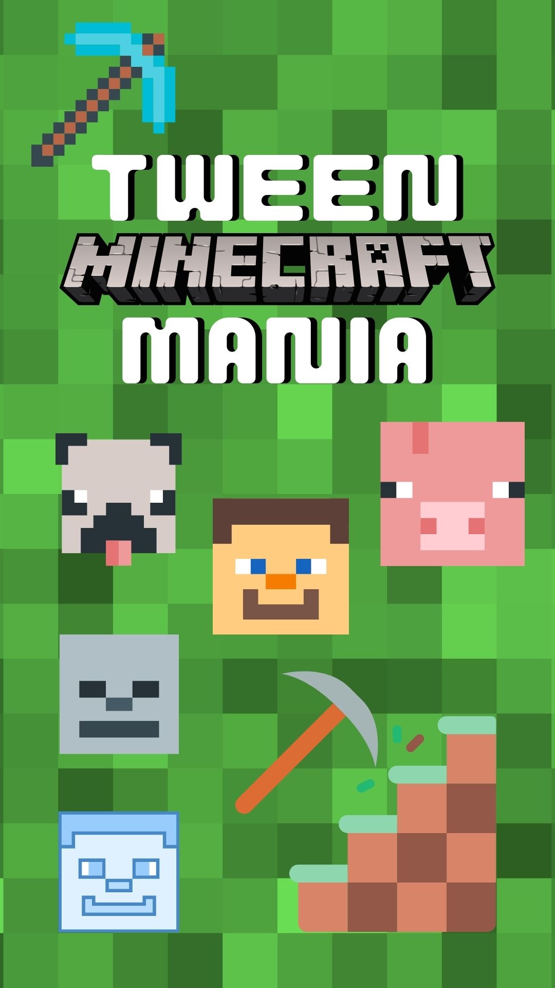 Program is Tween Minecraft Mania with images of computer graphics