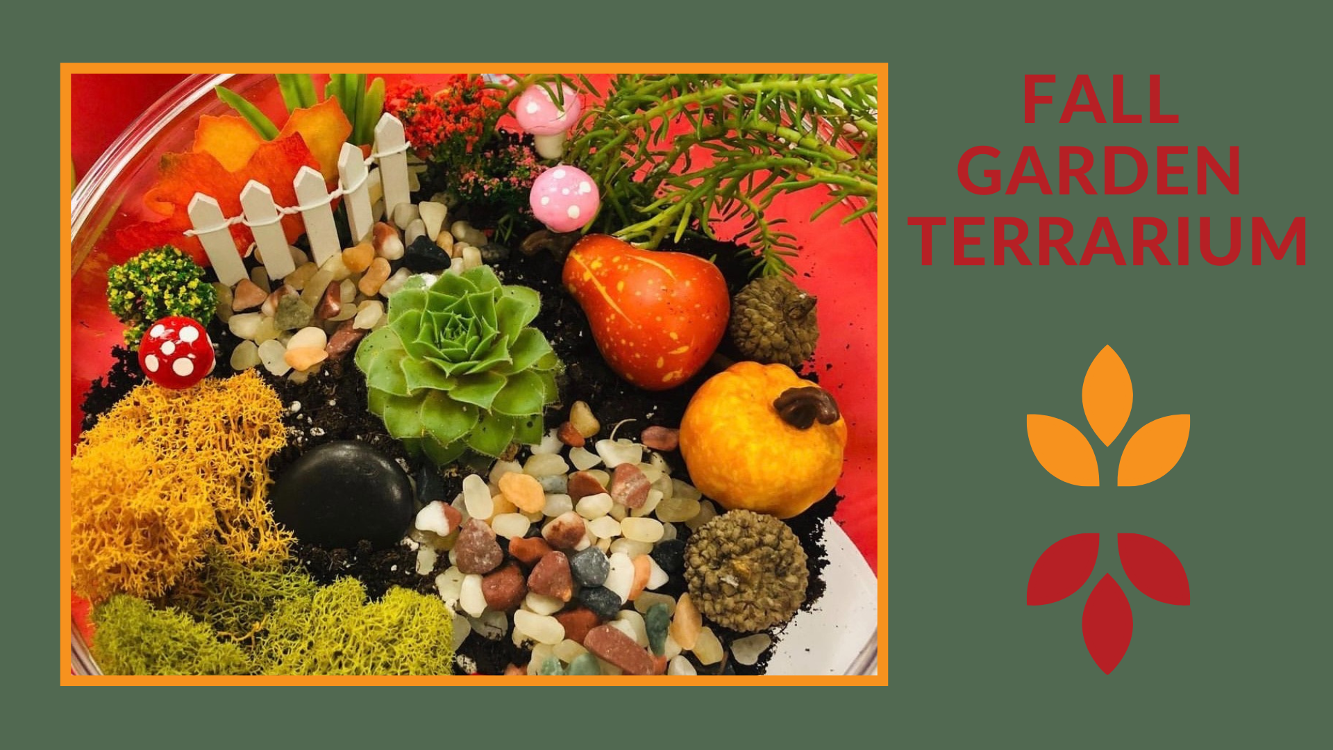 A picture of one of the terrariums with colorful succulents plants on mini gourds