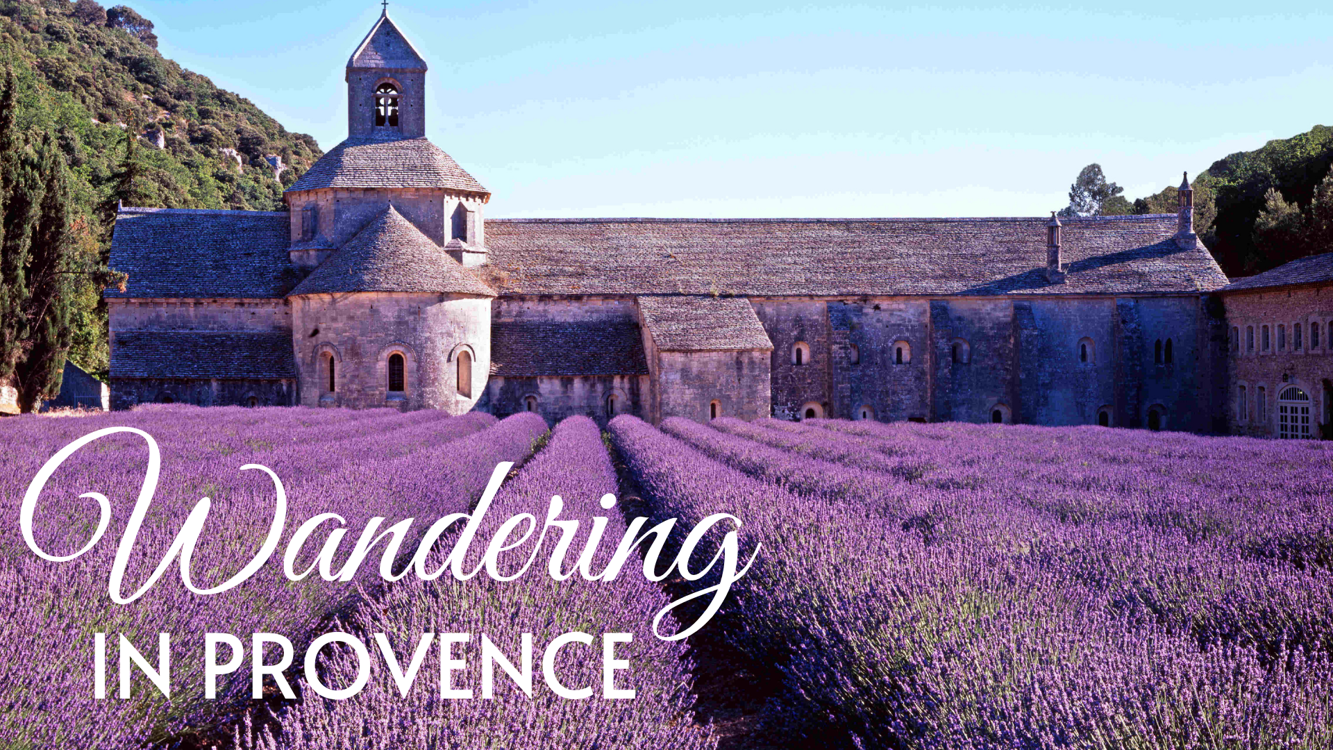 A photograph of a lavender field in Provence with a historic looking farm building behind it.