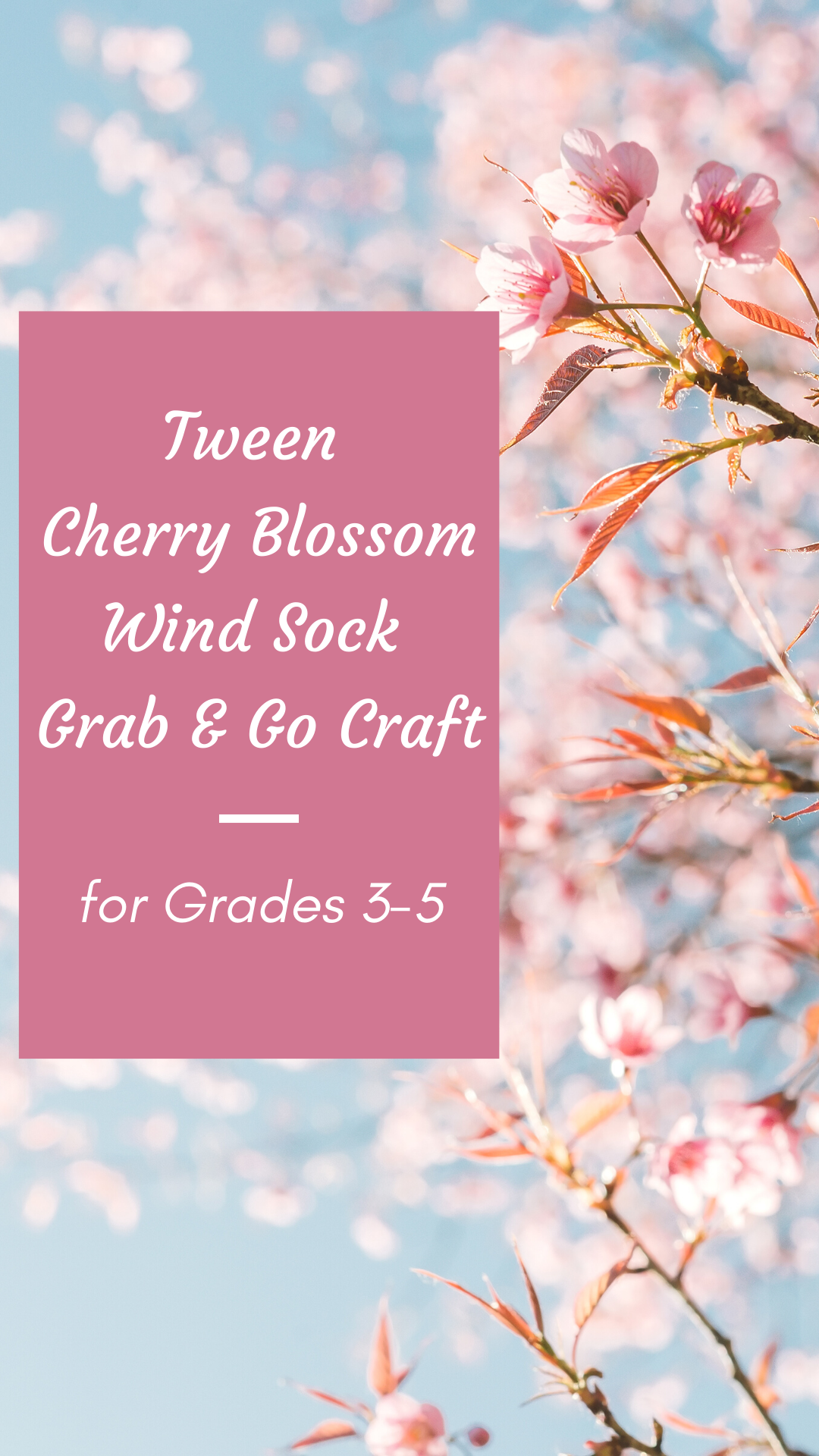 Tween Cherry Blossom Wind Sock Grab & Go Craft for Grades 3-5