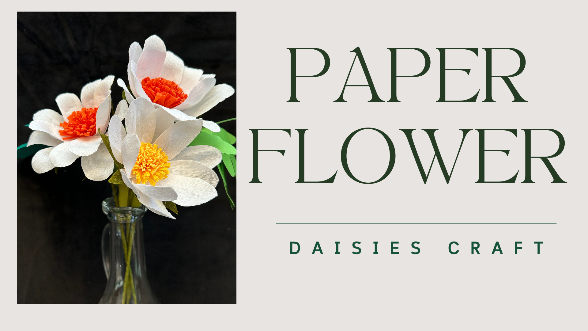 Paper daisies in a vase