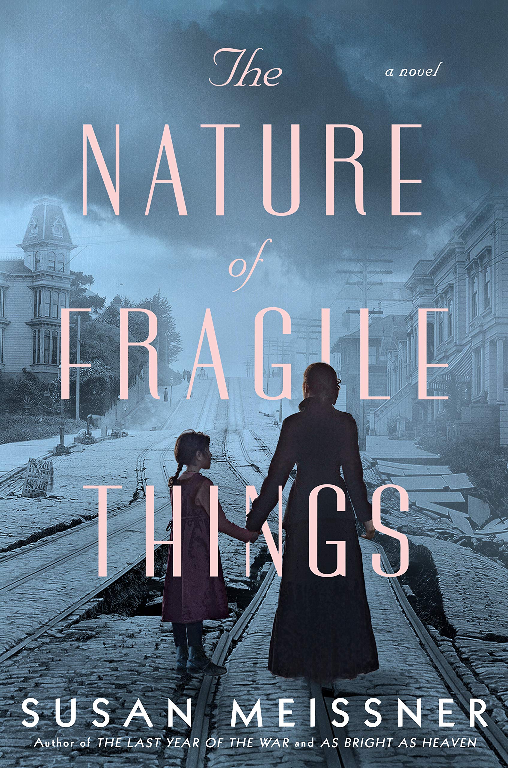 Book cover for The Nature of Fragile Things