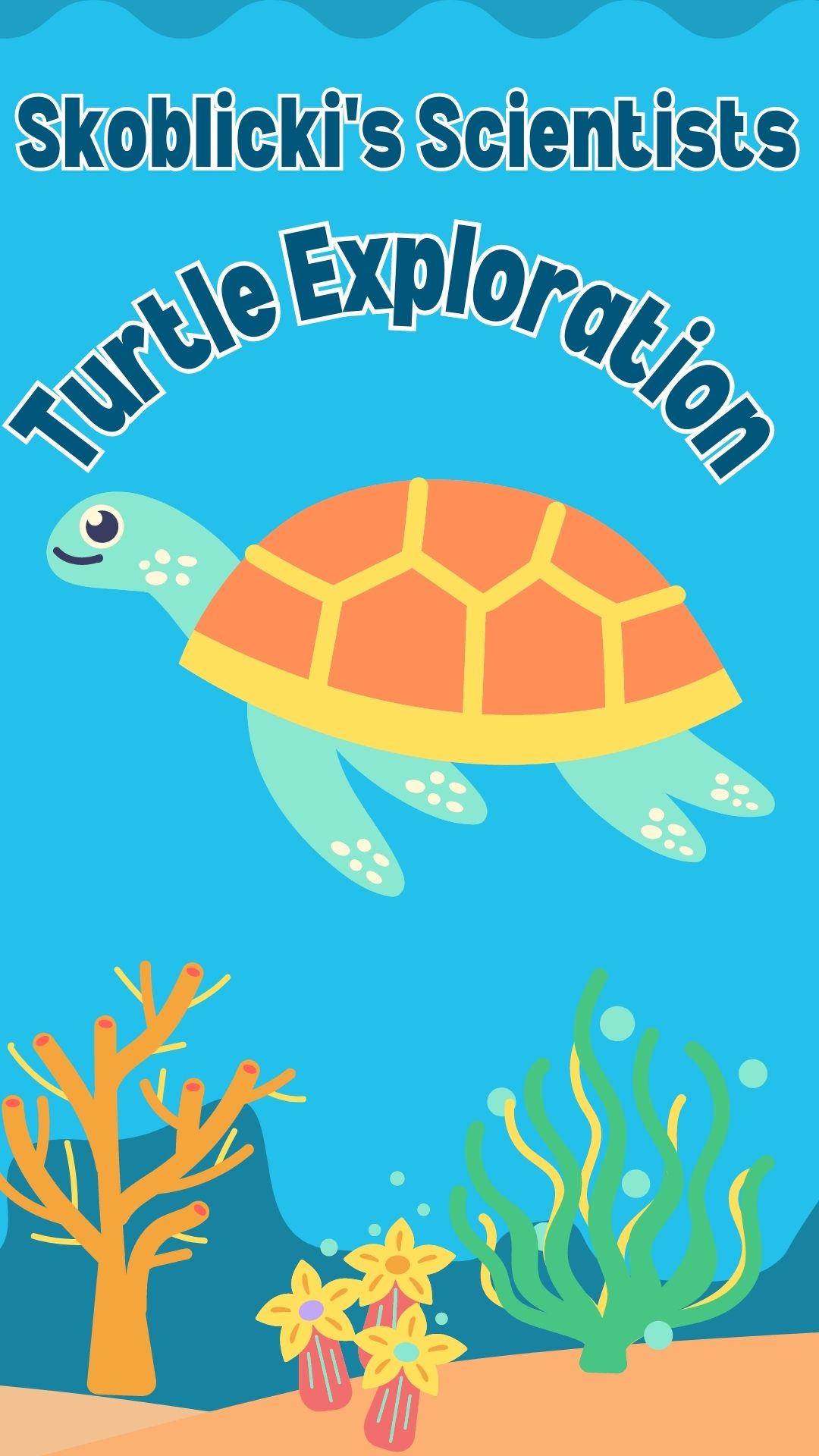 turtle exploration