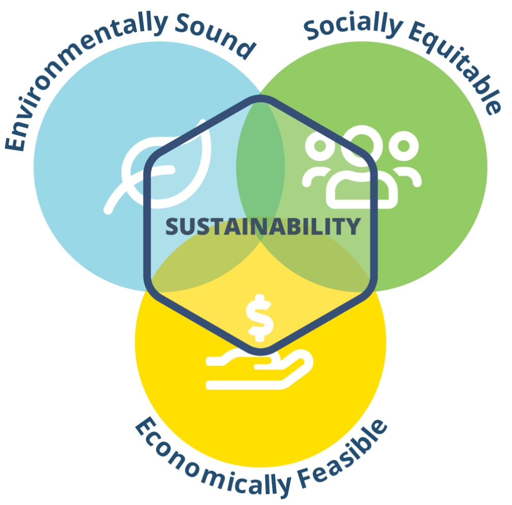 Sustainable Libraries Initiative graphic showing the initiatives emphasies in three areas: environmentally sound, socially equitable and economically feasible.