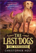 Image for "The Vanishing"