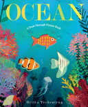 Image for "Ocean: A Peek-Through Picture Book"