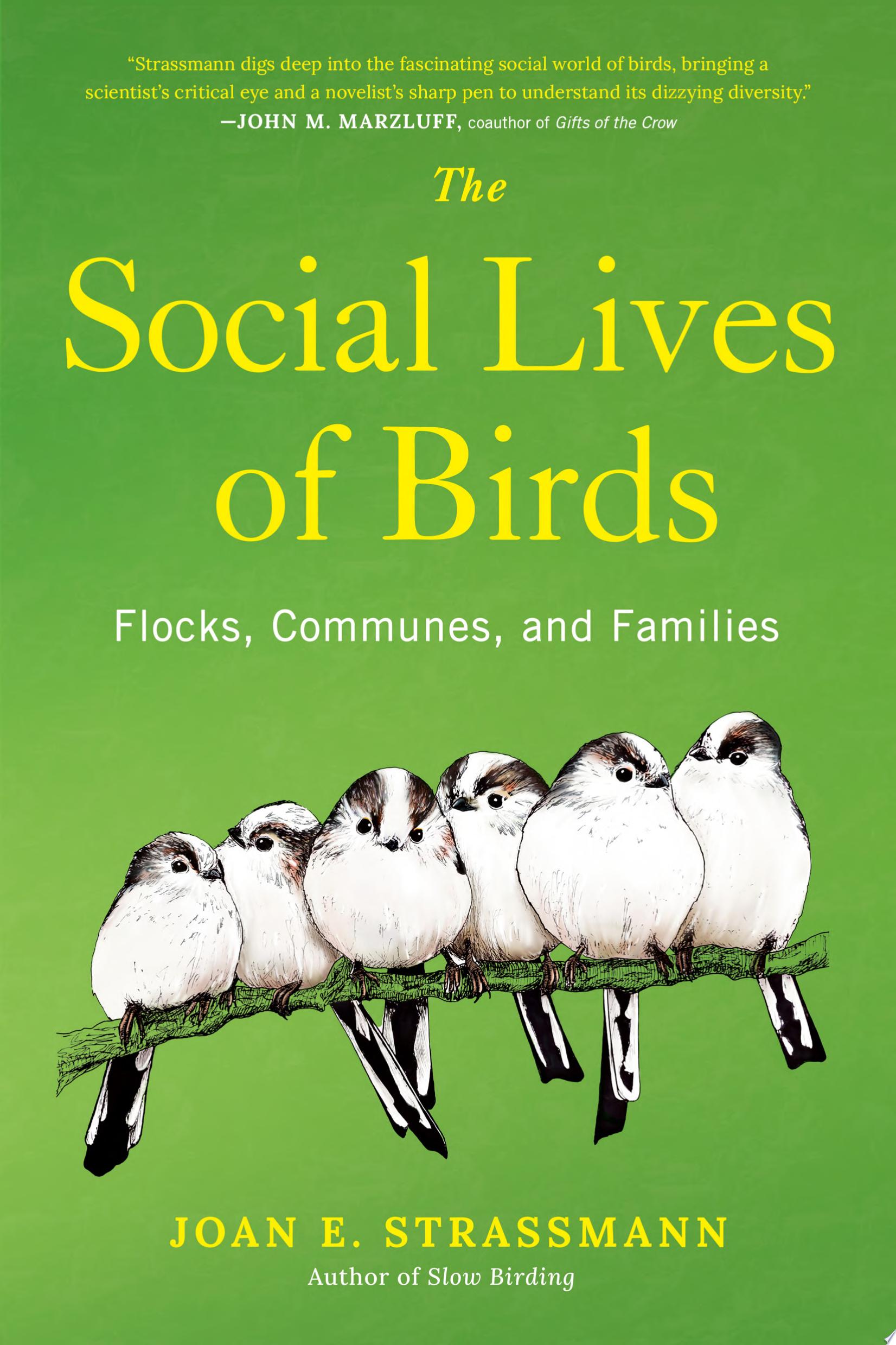 Image for "The Social Lives of Birds"