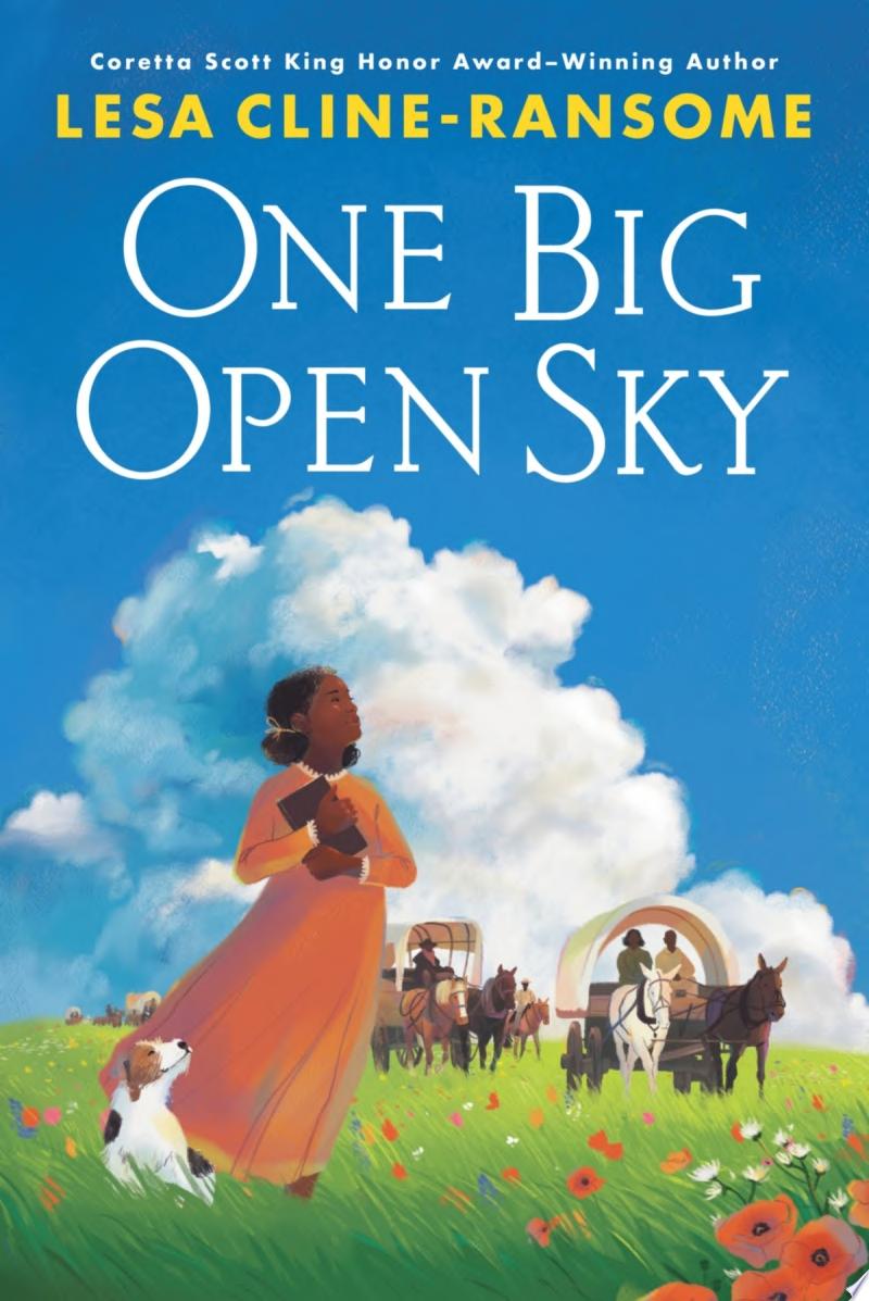 Image for "One Big Open Sky"