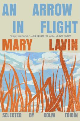 Image for "An Arrow in Flight"