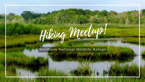Photo of some of the wetlands at Wertheim National Wildlife Refuge