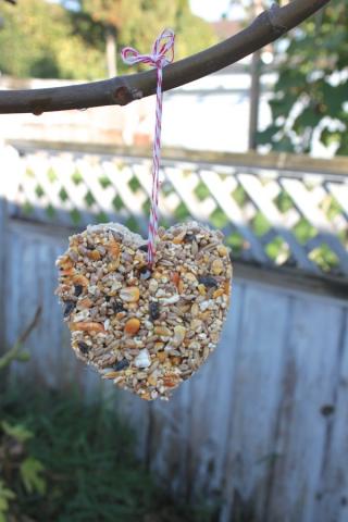 DIY Bird Feeder