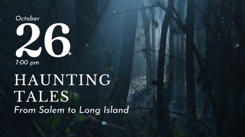 A photo of a creepy, dark forest