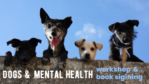 4 puppies looking over a wall.