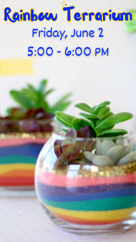 two rainbow terrariums with program details