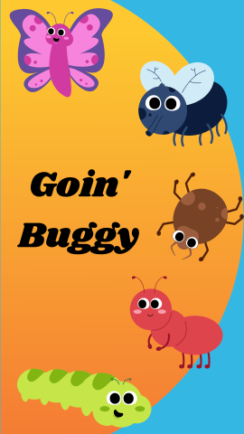 program calendar icon