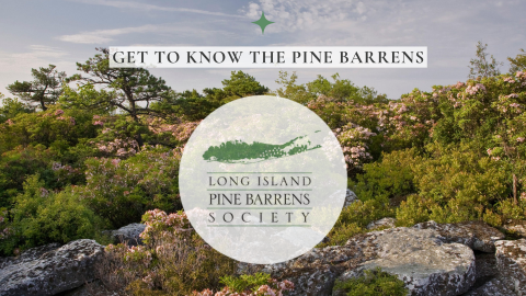 Photograph of the Pine Barrens from above.