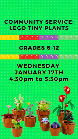 tiny lego plants and program details