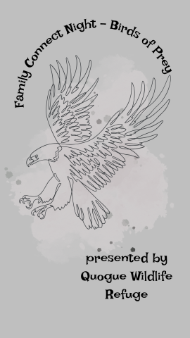 Gray background with a lighter gray splash of color behind image of the falcon. Black text reads "Family Connect Night - Birds of Prey presented by Quogue Wildlife Refuge".
