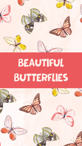 Light pink background with different colored butterflies. Light pink text reads "Beautiful Butterflies" on a bright pink banner.