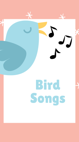 Pink background with an white rectangle in the middle. Image of a blue bird with music notes and stars. Blue text reads "Bird Songs".
