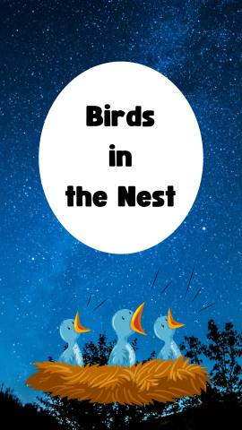 Night sky with a silhouette of trees and an image of baby birds in a nest. Black text reads "Birds in the Nest" in an white oval. 