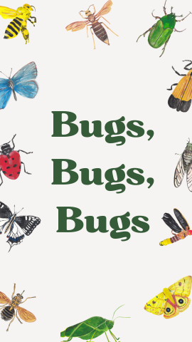 White background with all different types of bugs bordering. Dark green text reads "Bugs, Bugs, Bugs".