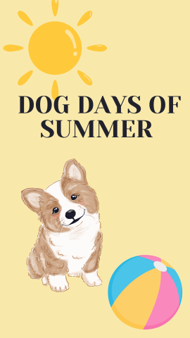 Light yellow background with images of a corgi dog, beach ball, and sun. Black text reads "Dog Days of Summer".