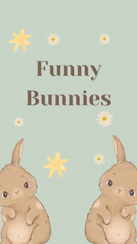 Green background with images of daisies, stars and two bunnies. Brown text reads "Funny Bunnies".