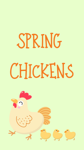 Light green background with an image of a chicken and chicks. Orange text reads "Spring Chickens".