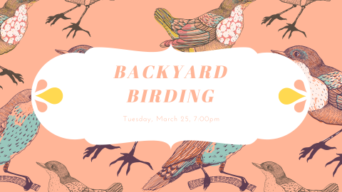 drawings of various birds on branches