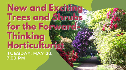 Various trees and shrubs