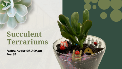 A succulent terrarium 
