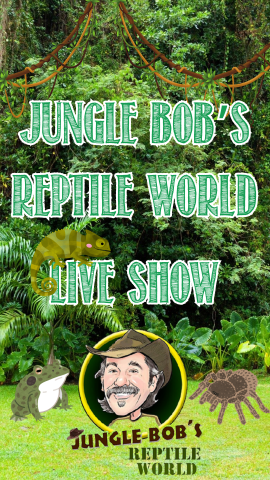 Jungle background with images of a chameleon, frog, and tarantula. At the bottom is an image of "Jungle Bob's Reptile World" logo. Text reads "Jungle Bob's Reptile World Live Show."