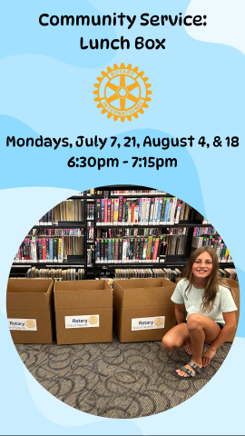 volunteer with rotary club boxes and program details