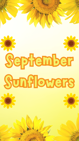 Background of sunflowers boarding thumbnail. Graphics of sunflowers. Text reads "September Sunflowers."