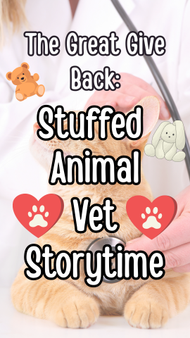 Background of a veterinarian and cat. Images of hearts, teddy bear, and stuffed bunny. Text reads "The Great Give Back: Stuffed Animal Vet Storytime."