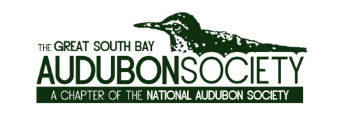 Logo for Great South Bay Audubon Society with bird silhouette.