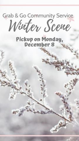 a winter scene with a close up of tree branches and program details