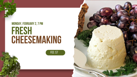 Fresh homemade cheese