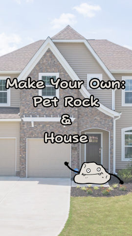 House in the background and a pet rock. Text reads "Make Your Own: Pet Rock and House."