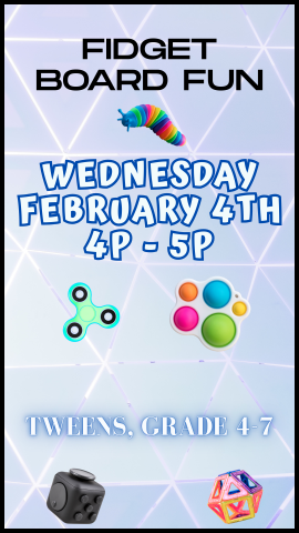 various fidget toys with program details