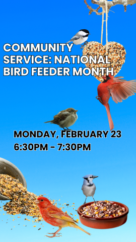 blue sky background with spilled birdseed, a bowl of birdseed, a heard birdseed feeder, and five small birds in various spots eating the seeds, and program details