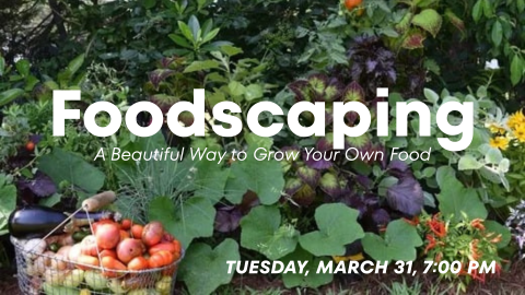 A "foodscaped" garden