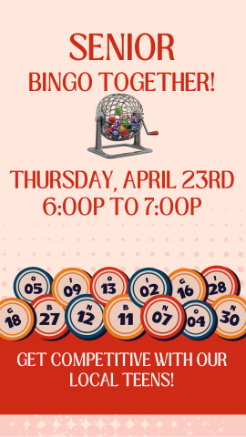 bingo cage and balls pictured with program details