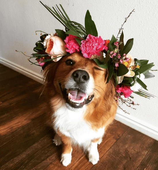 DIY Flower Crowns