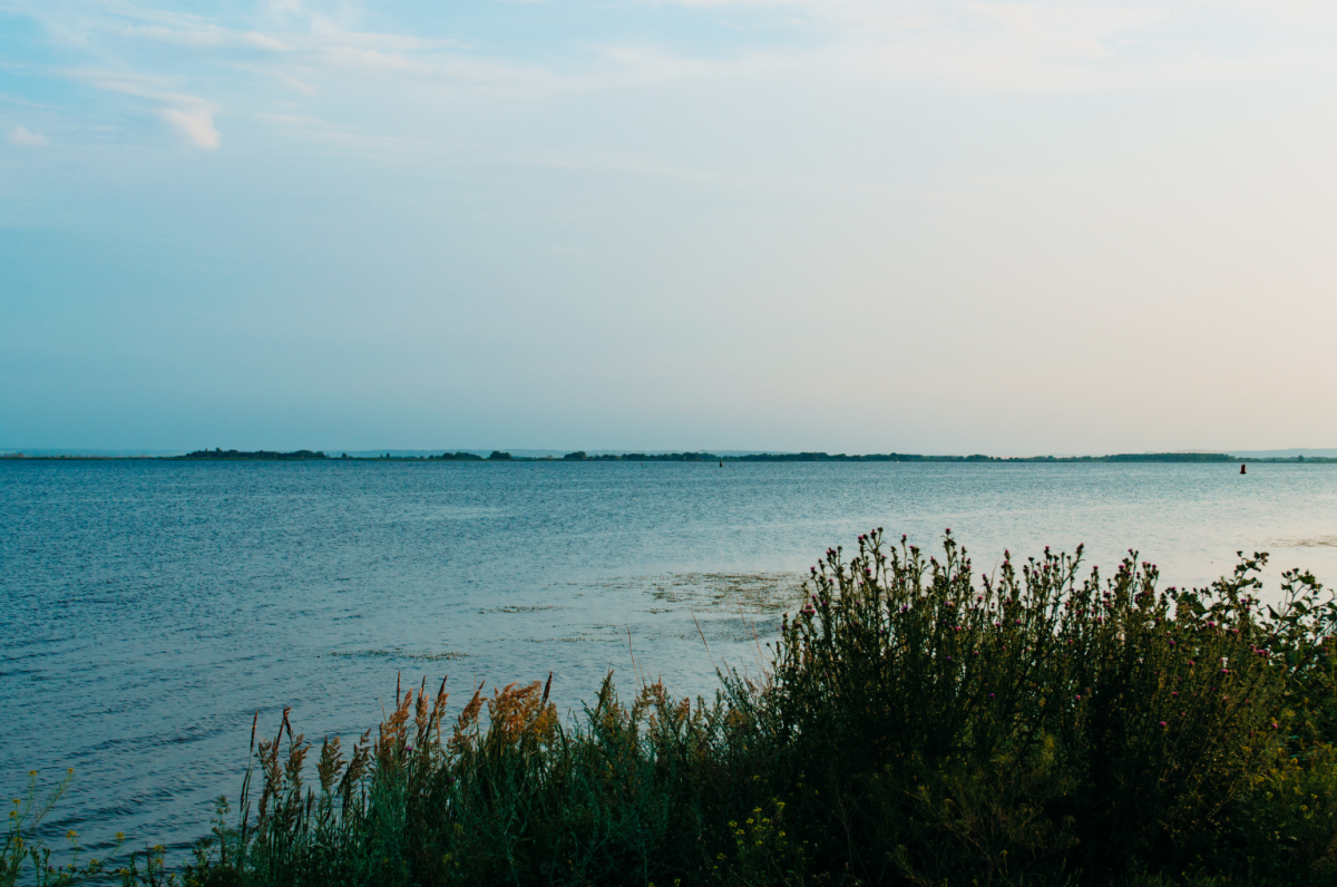 Picture of coastal area, along a bay of water.